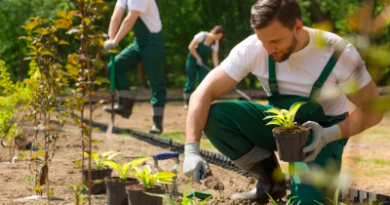 The Benefits of Landscaping Installation